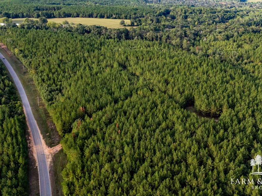 225 Ac ± Henry Co - Abbie Creek East 