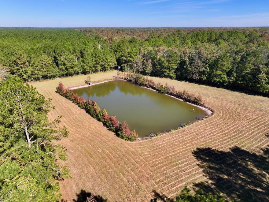 117.30 acres of Legacy Hunting & Timberland Adjoining Hofmann Forest For Sale in Jones County NC!