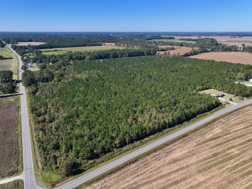 60.75 Acres of Recreational Timberland with Extensive Road Frontage For Sale in Duplin County, NC!