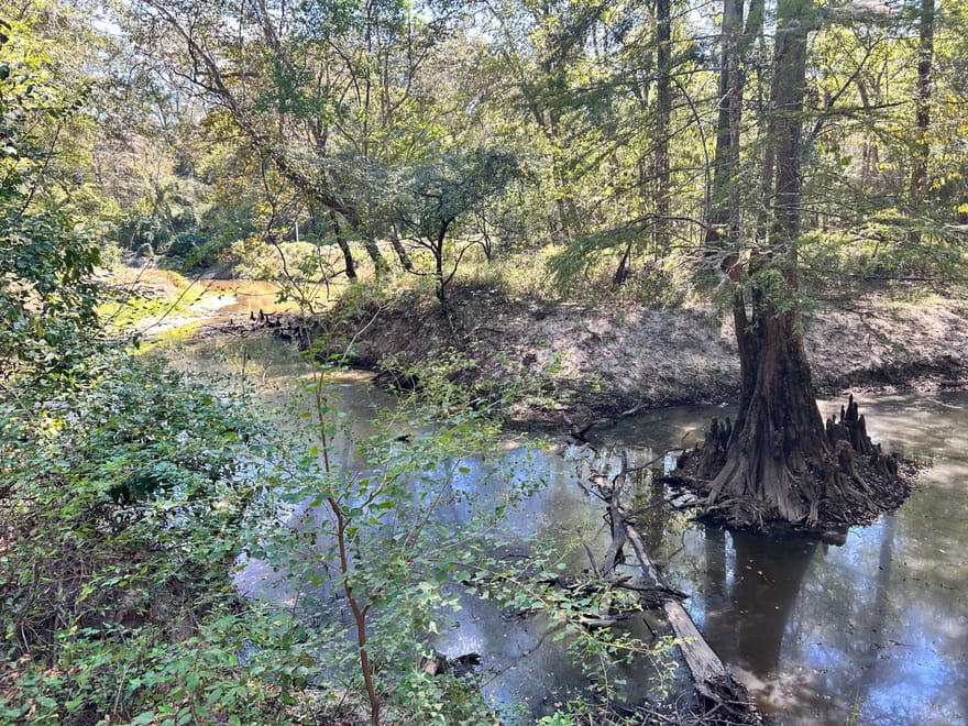 Highway 15 - Bogue Homa Tract