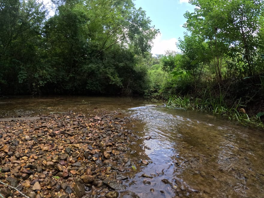 Camp Silver Creek – Recreational Retreat on 82± Acres | Foxworth, MS