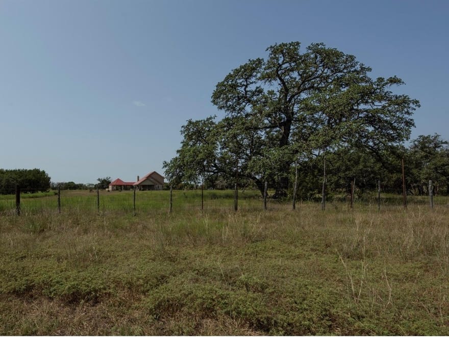 The White Ranch