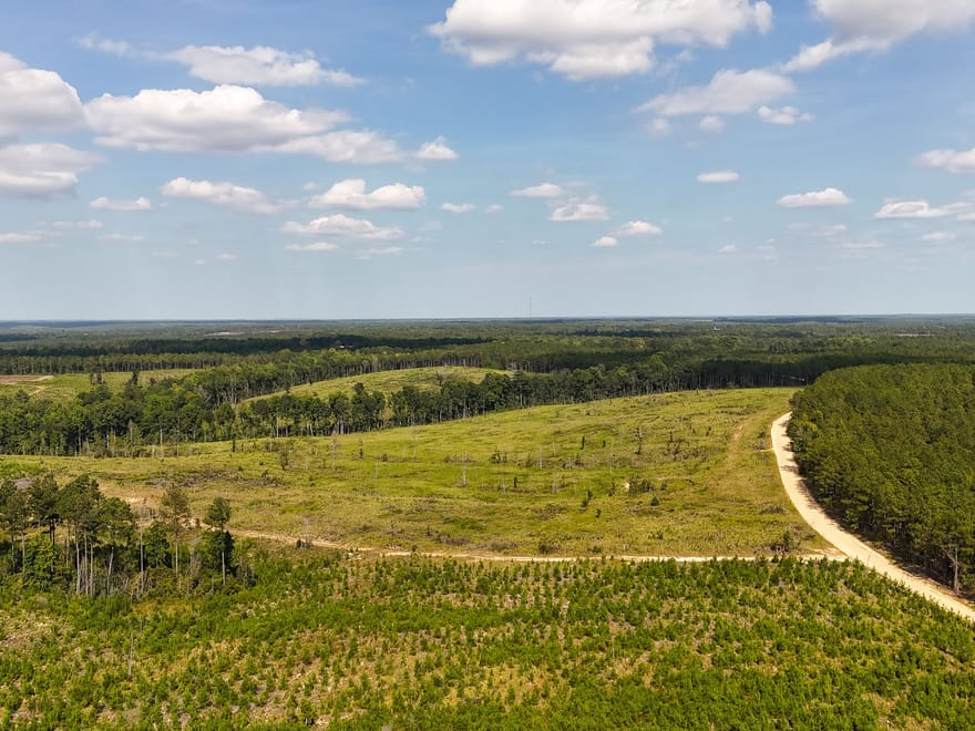 SUNNY HILL ROAD 1