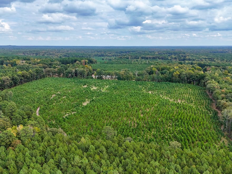 SULPHUR SPRINGS TRACT