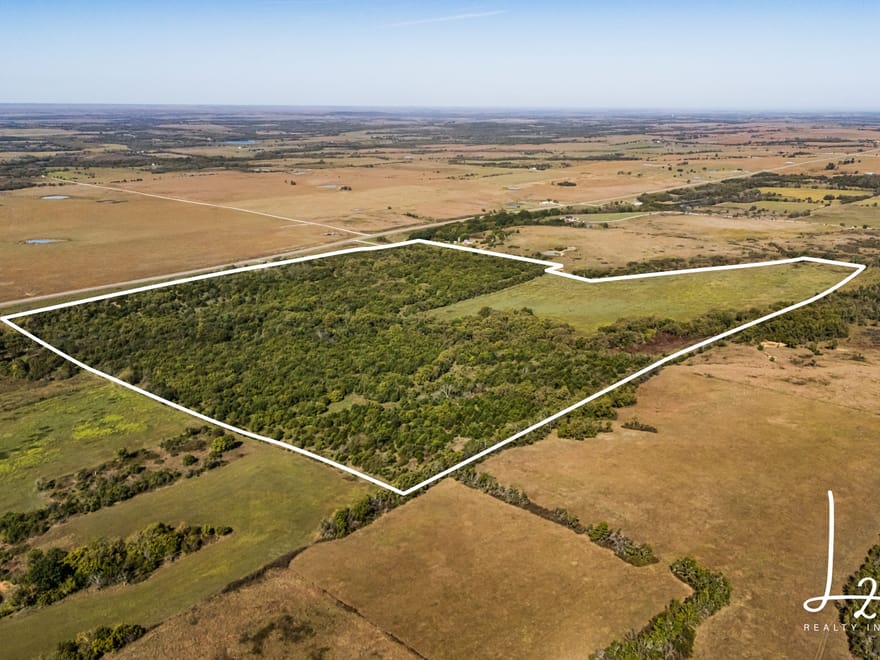 Whitetail Creek 180