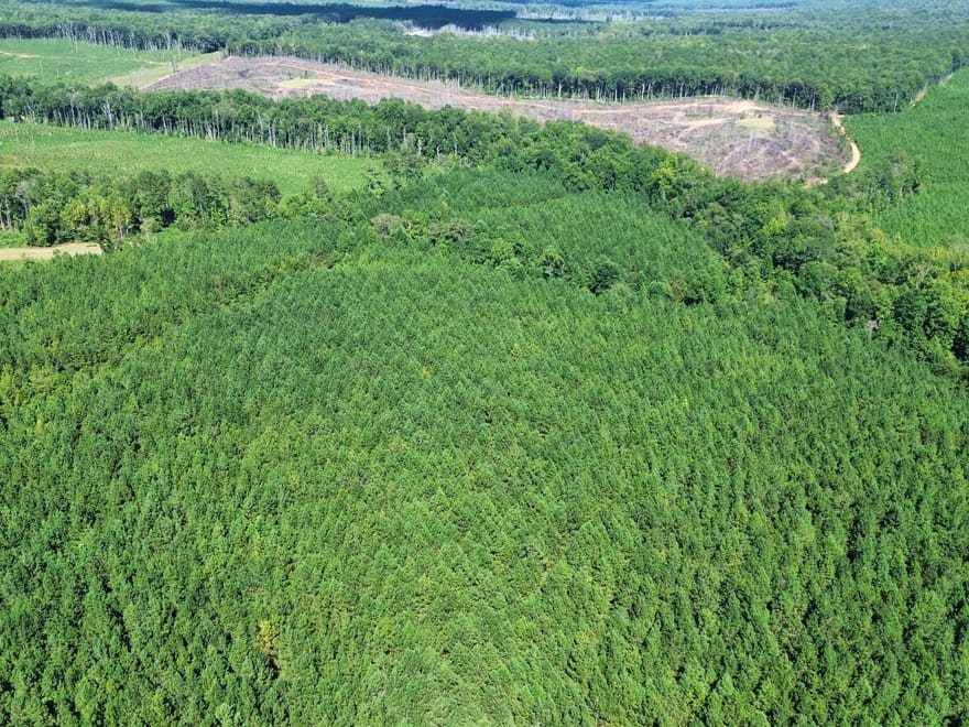 58 +/- Acres Tallapoosa Co.