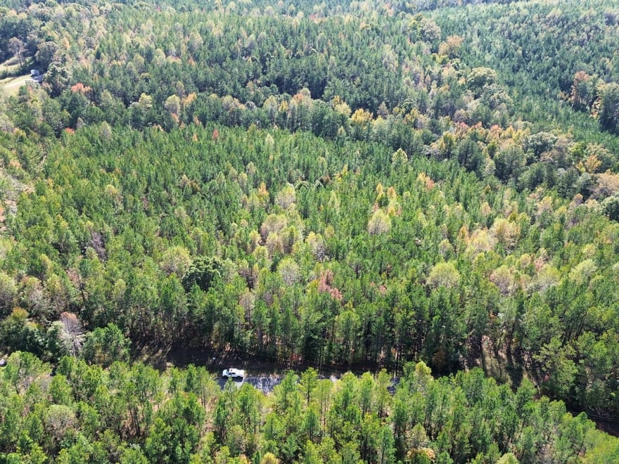 26 +/- Acres Tallapoosa Co. AL 
