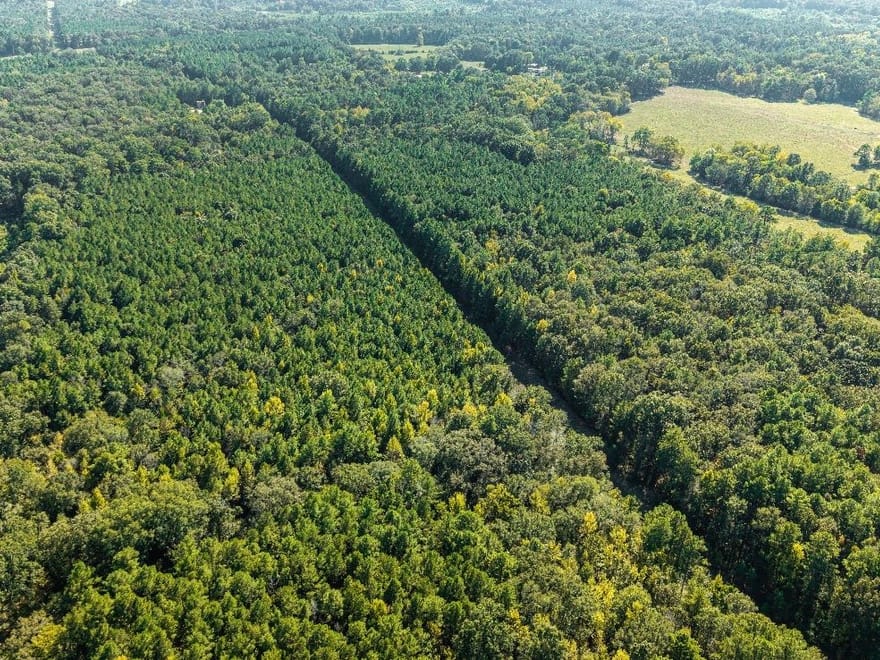 39 Acres in a Prime Location – Hunt, Build & Enjoy.