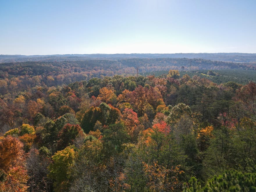 Tract A – 5.27 Acres of Wooded Land in Henry County, Virginia