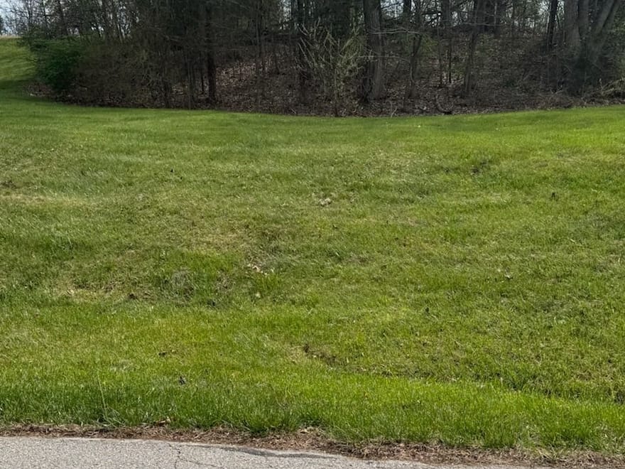 Lot 107A Cedar Circle Drive, Ste Genevieve, MO-Ste Genevieve Co.0.37+/- Acres 