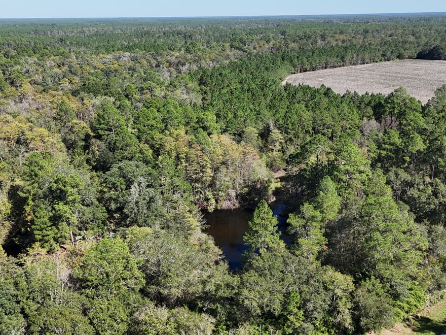 Millwood Hunting Retreat