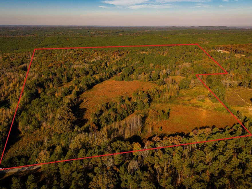 East Webster Hunting and Homesite