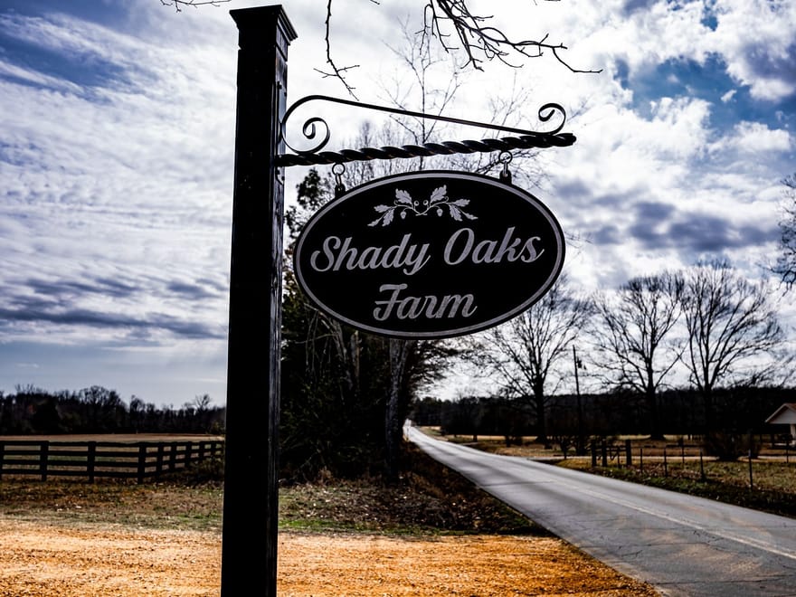 Lot #4:  Shady Oaks Farm - Saltillo 