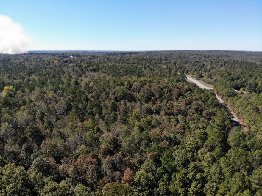 31 ac Hwy 278 Winston County