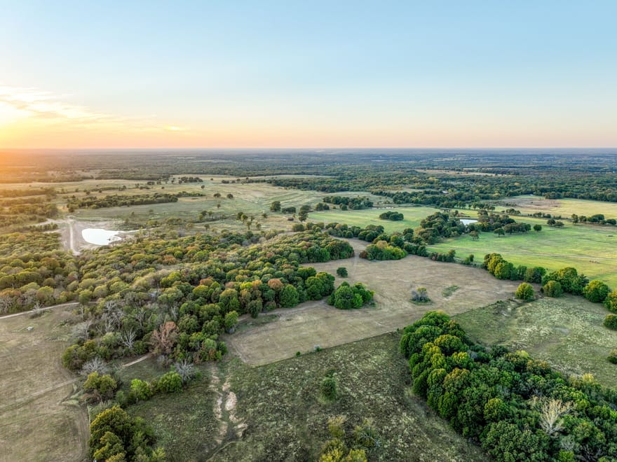 Timber Plot Ranch 