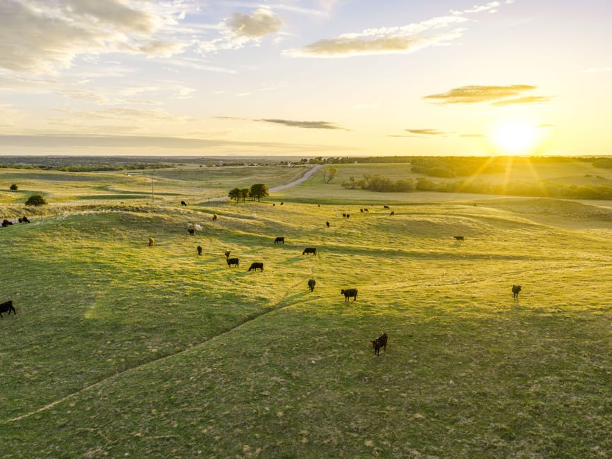 Boggy Creek Ranch 