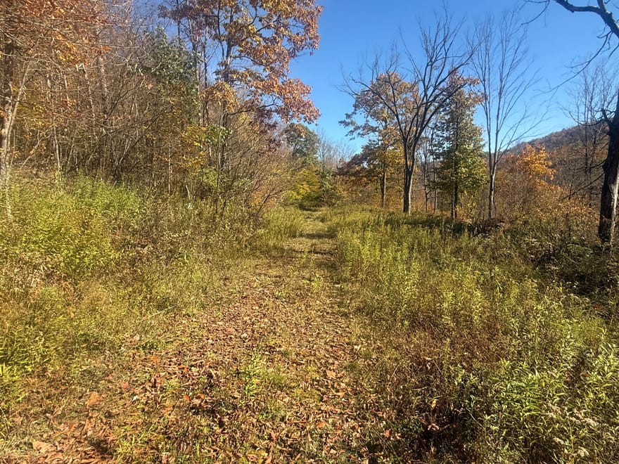 0 Smith Rd, Eldred, PA 