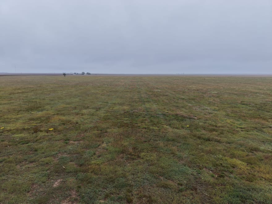 GRANT COUNTY KS 314 ACRES WITH WATER RIGHTS AND CRP INCOME