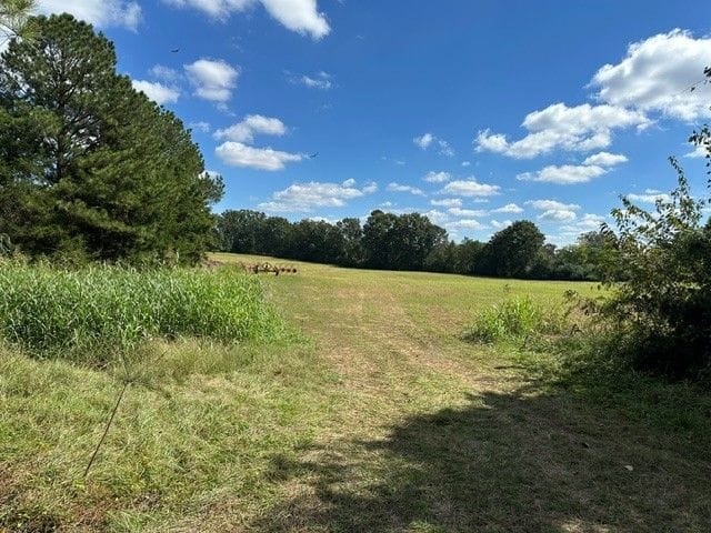 C221 SC Newberry-St Mary's Church Rd Tract
