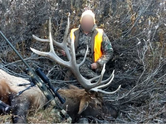 Southwest Colorado Elk and Mule Deer Wilderness Outfitting Business for Sale | GMUs 74 & 75