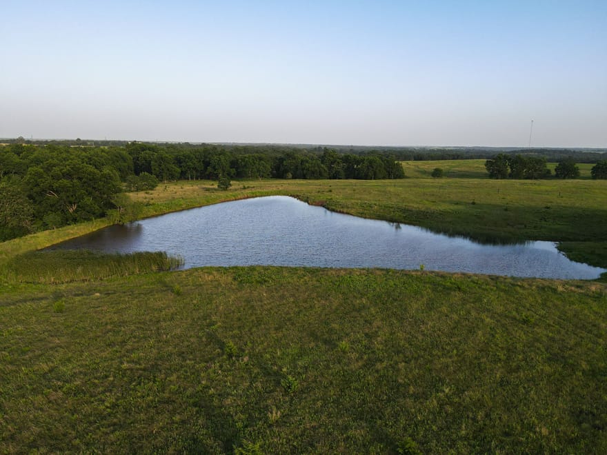 Lincoln County 50 | Big Pecans, Quiet Creek & Pond