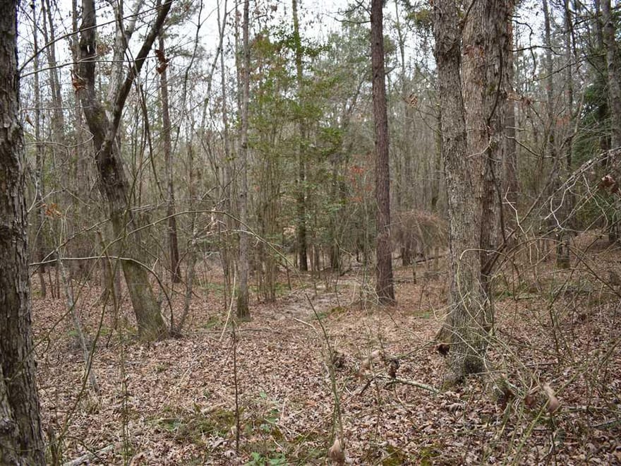 Bragg Lake 