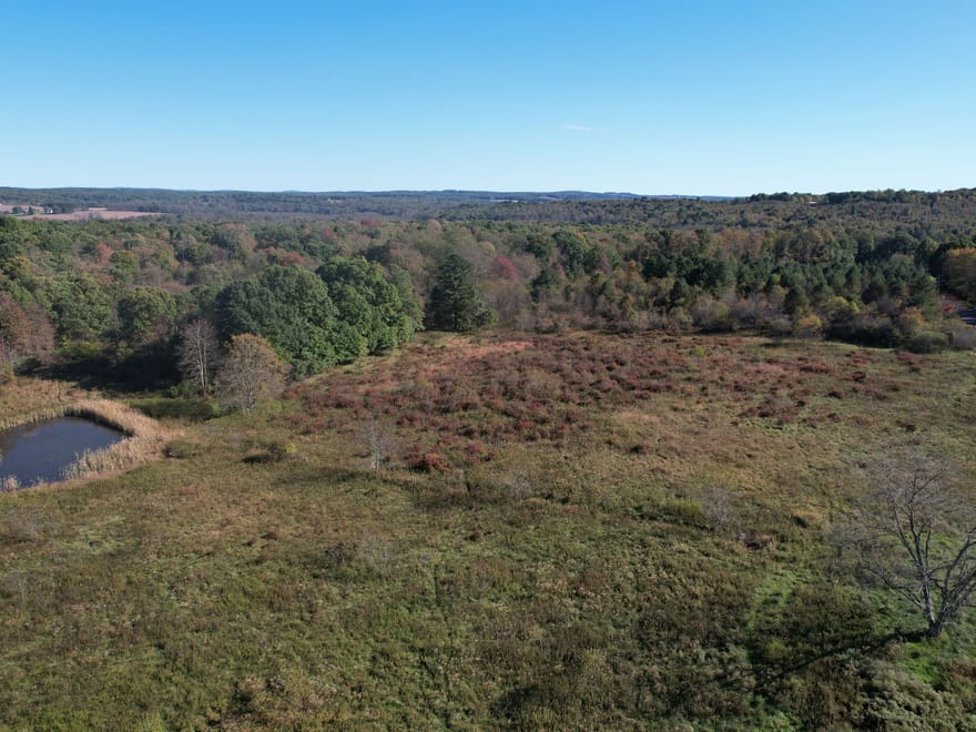 Dinner Bell Rd. (Parcel 5) 11+/- Acres