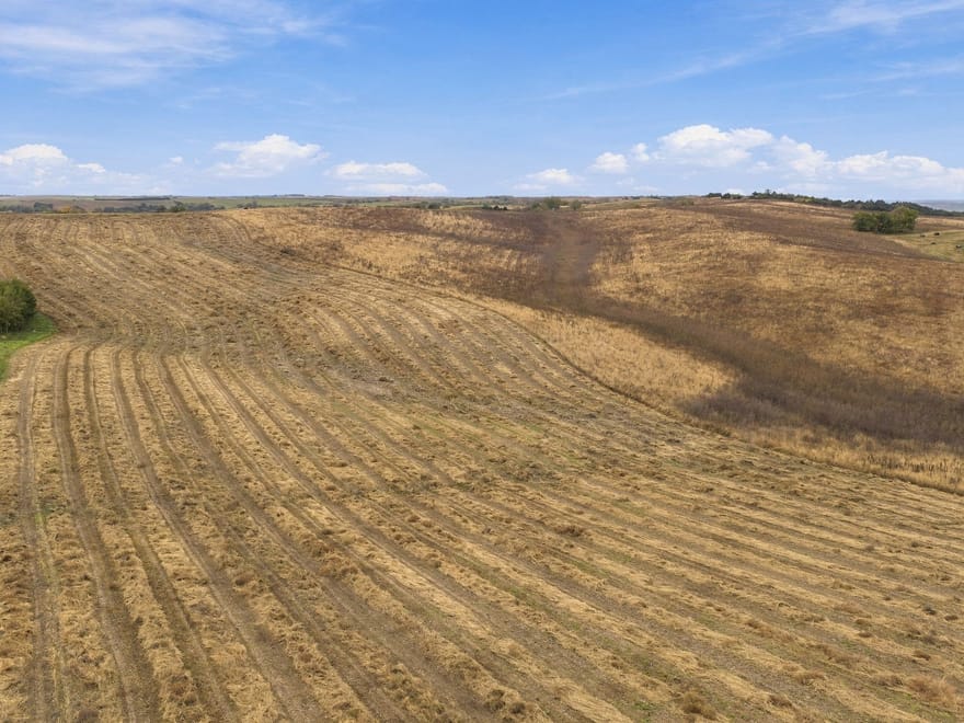 Tract #1: 80 Acres+/-  Exceptional Farm, Pasture & Recreational Property - Boyd Co., Nebraska