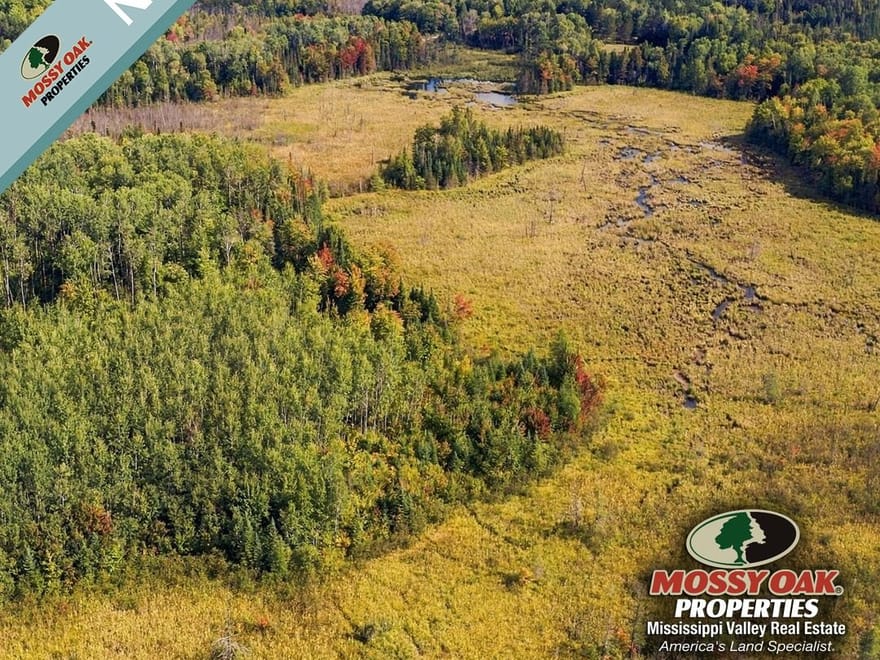 Diverse Northwoods Hunting Tract
