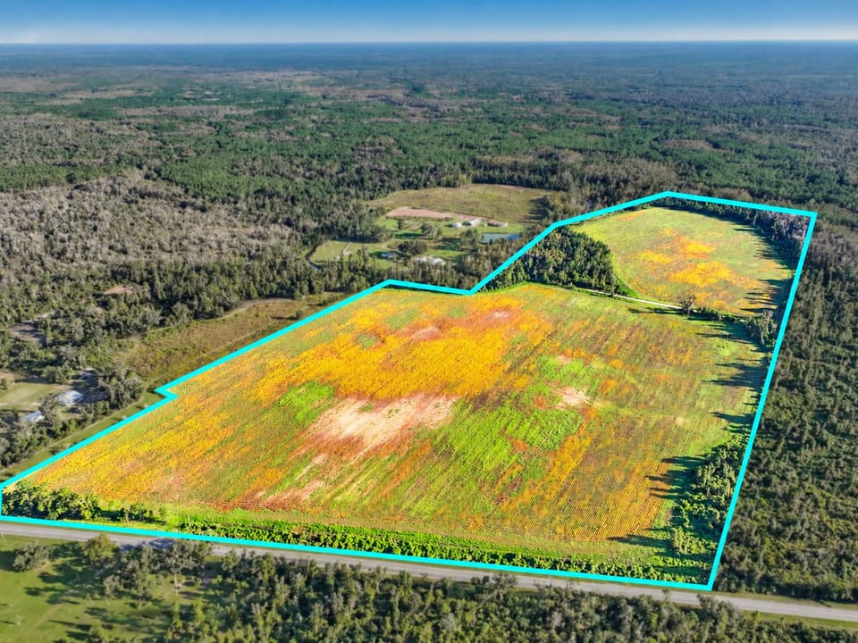 Aerial Farmland Property With Cyan Boundary