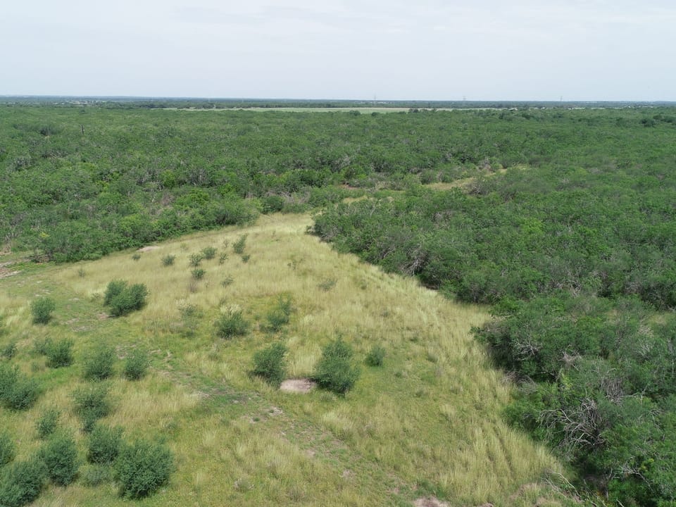 Dji 0061 Jpg