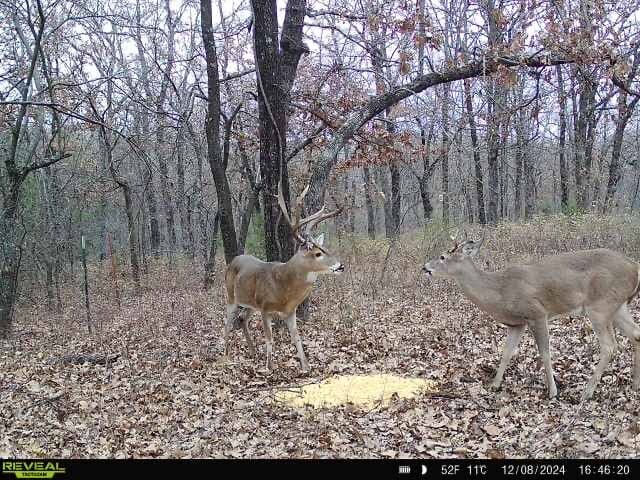 Keystone Lake Hunting Farm