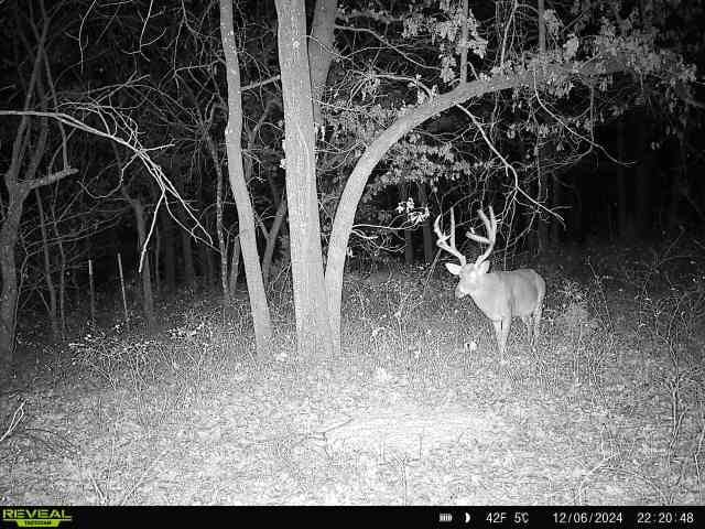 Keystone Lake Hunting Farm