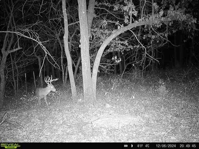 Keystone Lake Hunting Farm