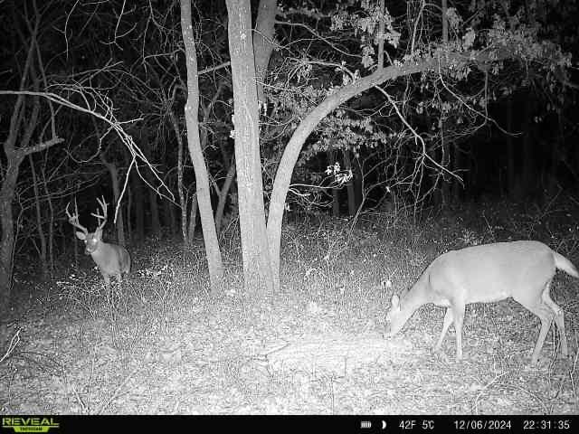 Keystone Lake Hunting Farm