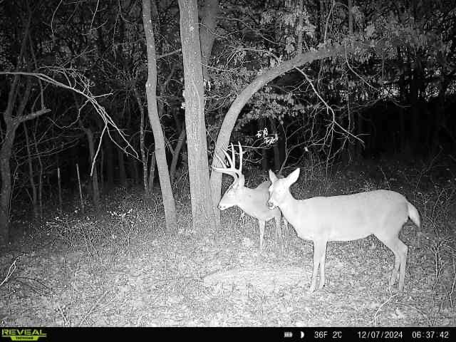 Keystone Lake Hunting Farm