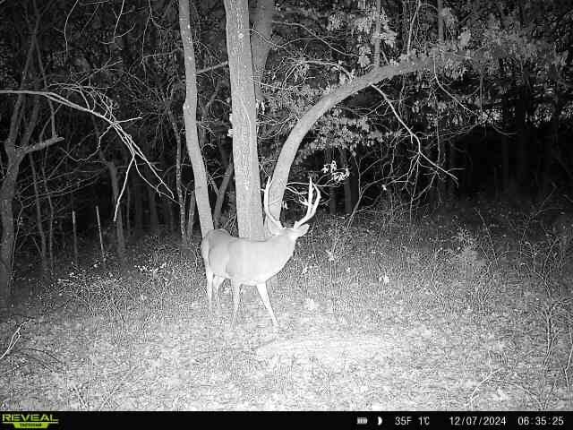 Keystone Lake Hunting Farm
