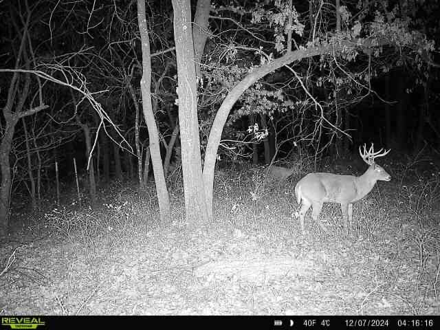 Keystone Lake Hunting Farm