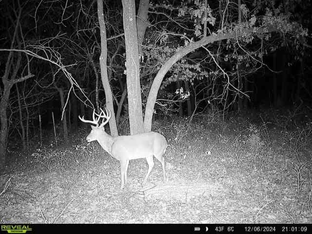 Keystone Lake Hunting Farm