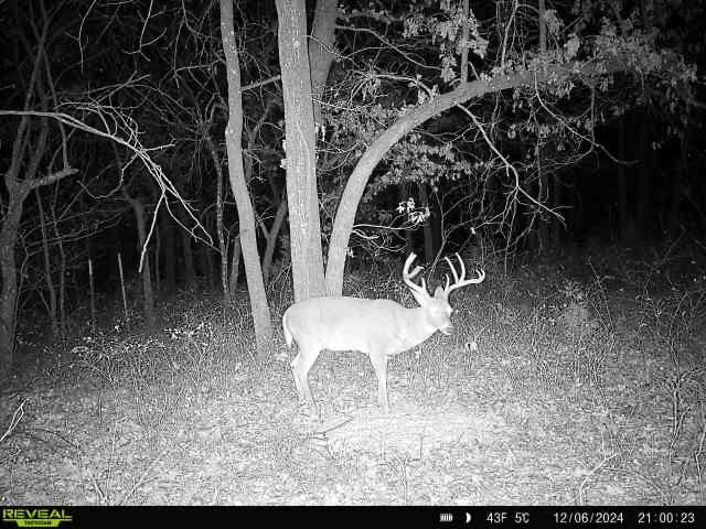 Keystone Lake Hunting Farm