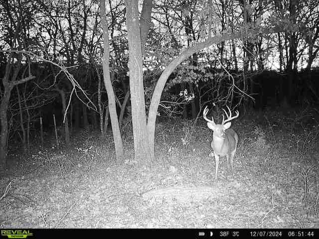 Keystone Lake Hunting Farm