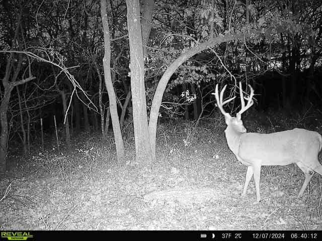 Keystone Lake Hunting Farm
