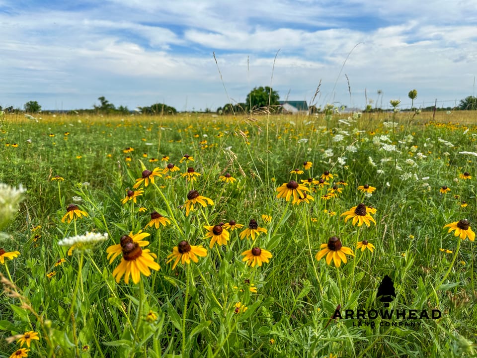 Tallgrass N' Tin Ranch