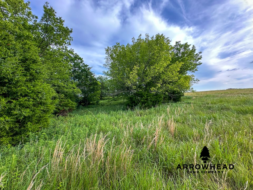 Tallgrass N' Tin Ranch