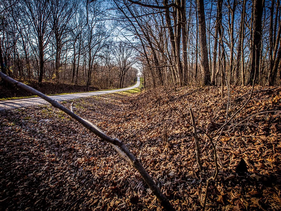 Thurman Creek Farm