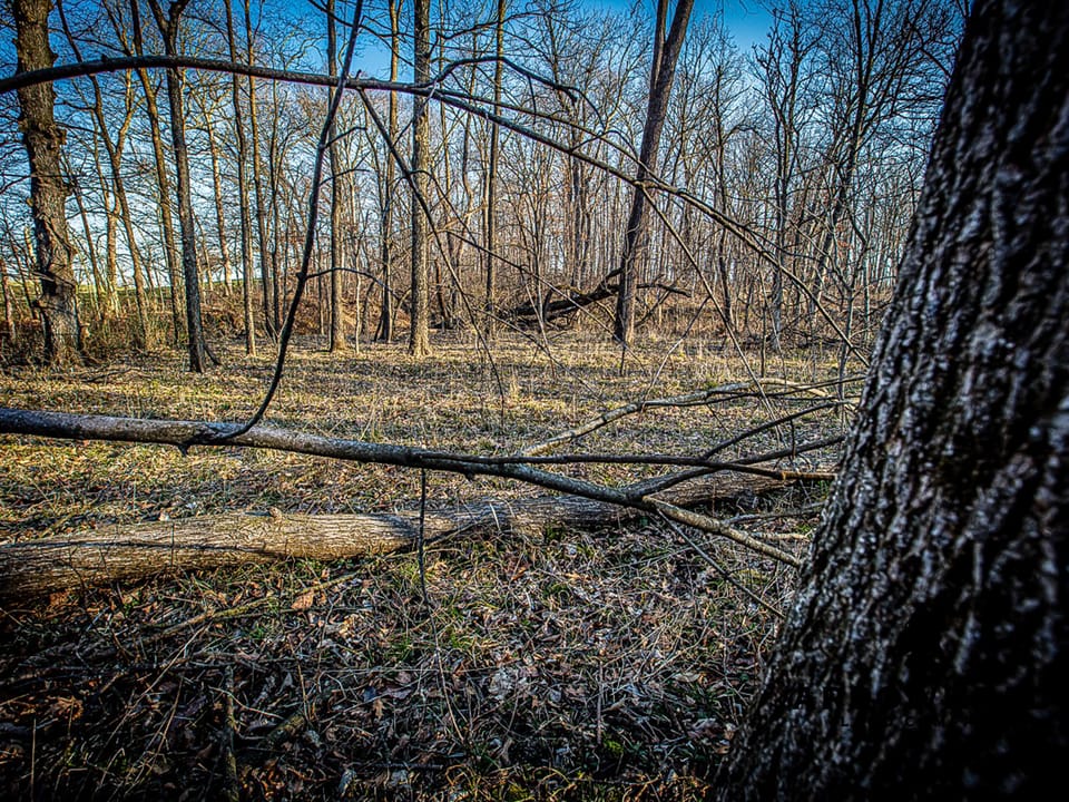 Thurman Creek Farm
