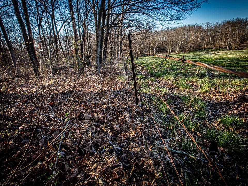 Thurman Creek Farm