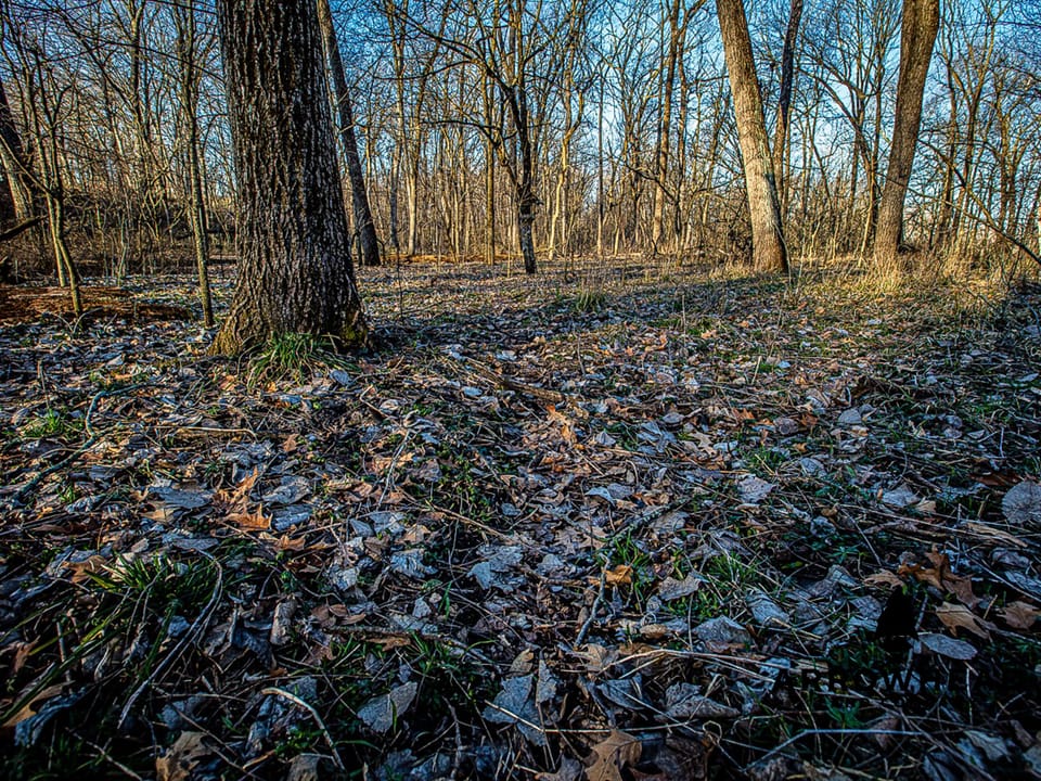 Thurman Creek Farm