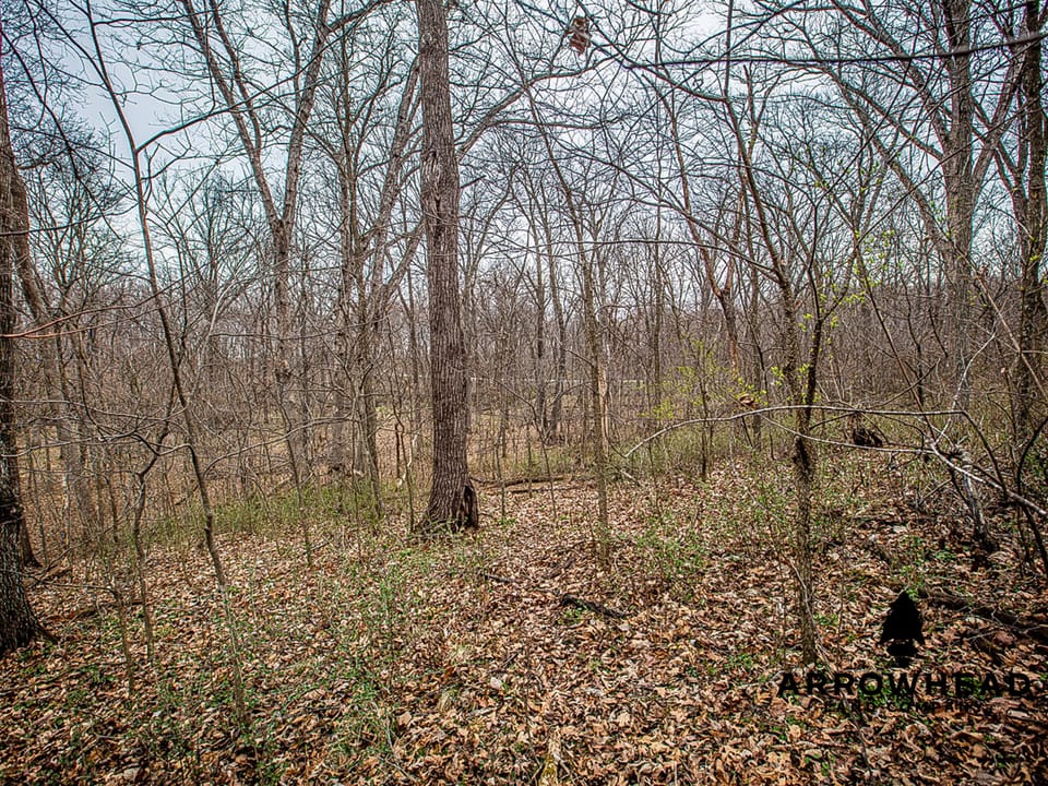 Thurman Creek Farm