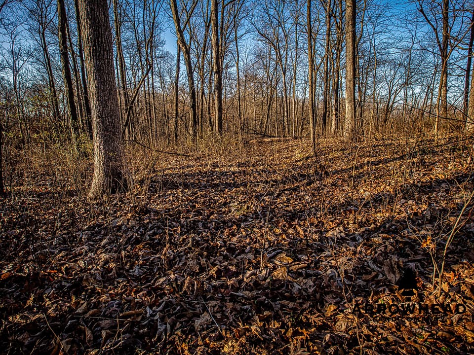 Thurman Creek Farm